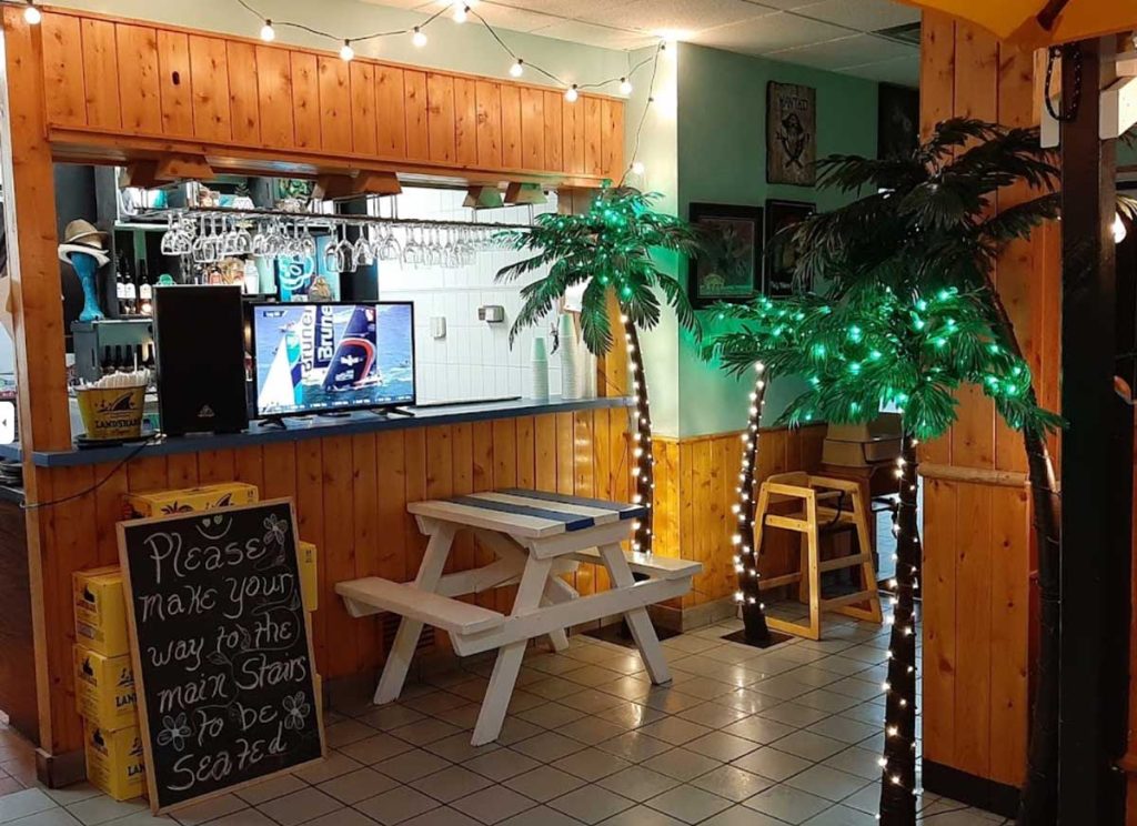 bar lights on palm trees w