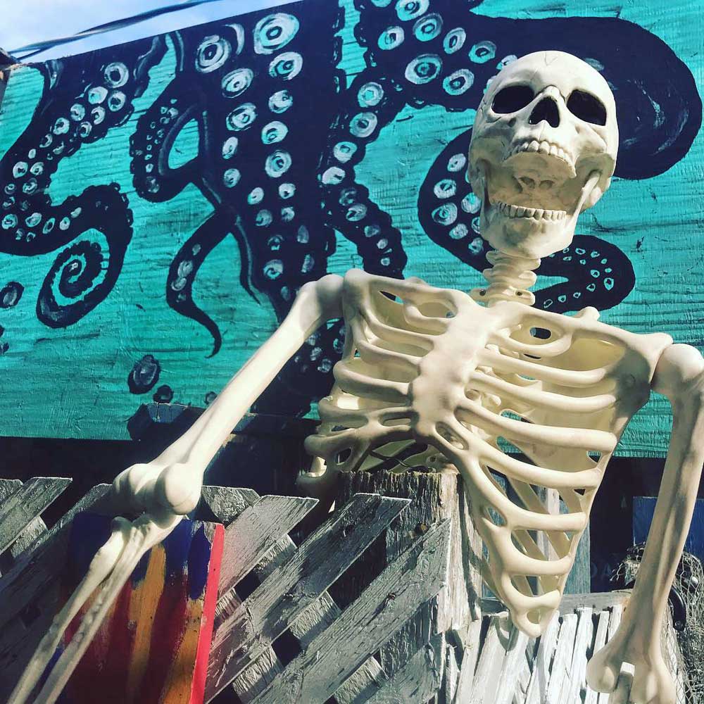 skeleton in front of turquoise octopus w
